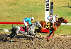 St. Thomas' Master Deposit at the wire in "Budhoe Classic." St. Thomas' Master Deposit at the wire in "Budhoe Classic."